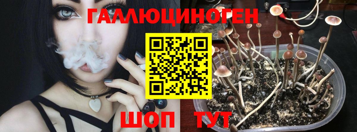 Псилоцибиновые грибы ЛСД  Вход с VPN  Галлюциногенные грибы Cubensis  Амурск 