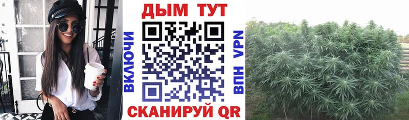 магазин продажи   Амурск  Шишки марихуана MAZAR 